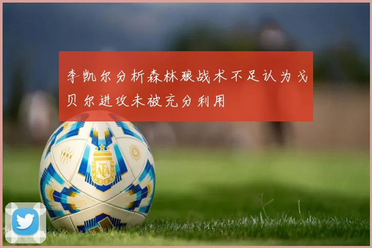 李凯尔分析森林狼战术不足认为戈贝尔进攻未被充分利用