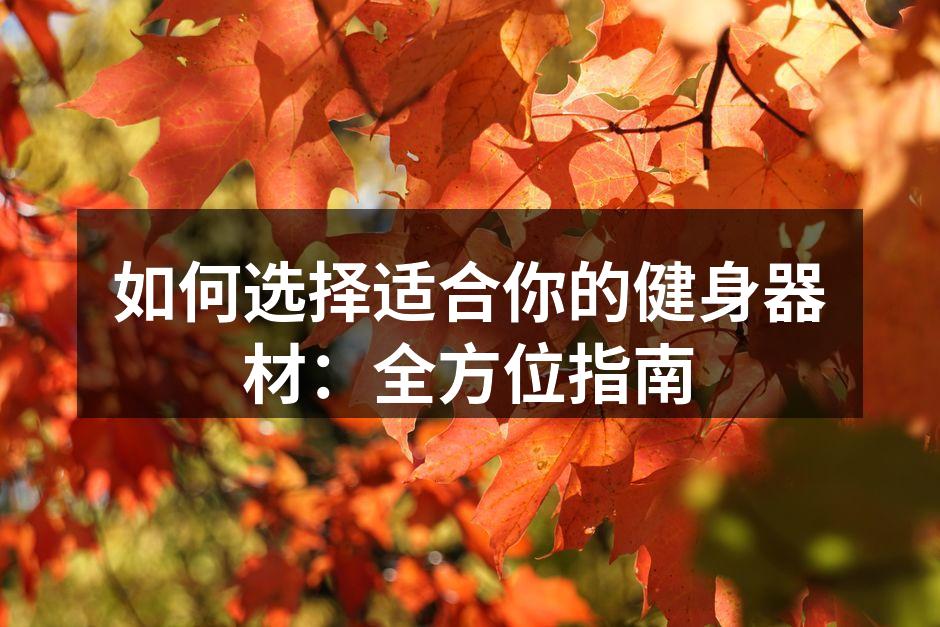 多样的健身器材选择