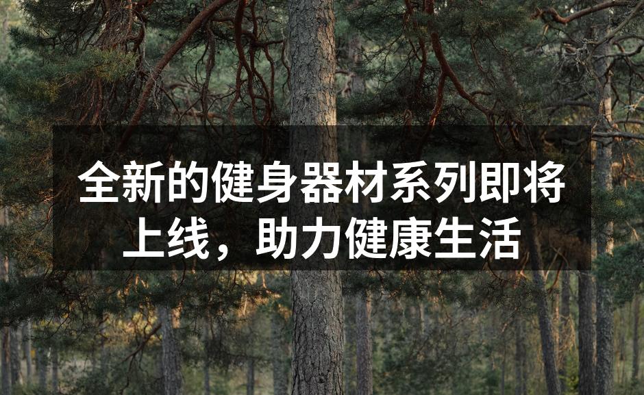 全新智能哑铃，助力高效训练